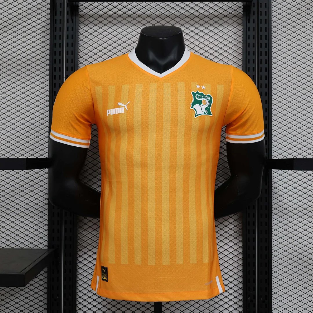 AAA Quality Cote d'Ivoire 2022 World Cup Home Jersey(Player)